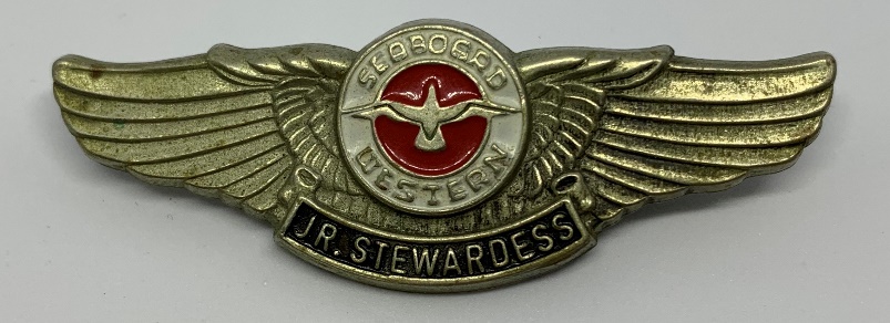 USA Details about   Northwest Airlines Junior Kids plastic wings badge Childrens pilot 