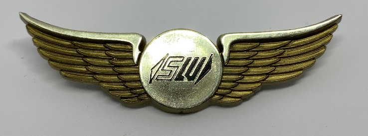 Details about   Transaero flight attendant stewardess wings badge #91 