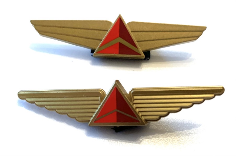 DELTA AIRLINES 60'S OVAL LOGO PIN. 
