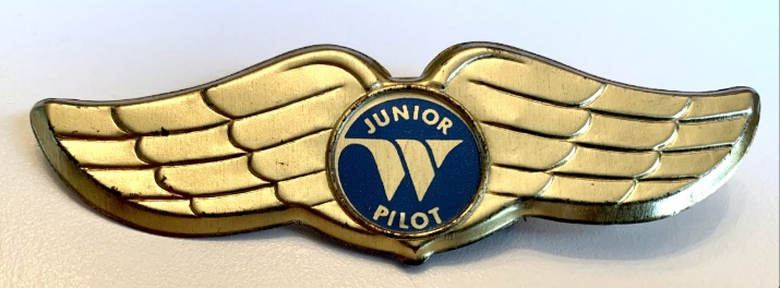 Lot of 14 Airline WINGS > Future Jr Flight Attendant pin kiddie Pilot NICE ! 